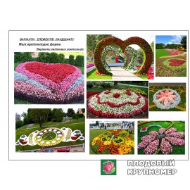 Наші проекти