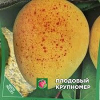Абрикос "палумелла" Абрикос "палумелла"