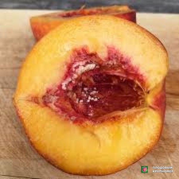 Саженцы Персик "ром стар"