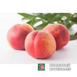 Персик "умай моно аморі"