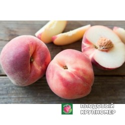 Персик " Світ Леді"